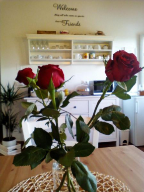 Dimora San Lazzaro B&B Lucca